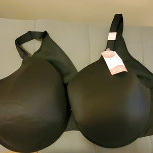 NWT cacique bra